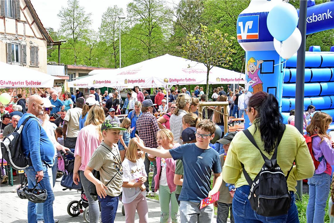 Fleckaschau am 26. April 2026 in Unterweissach. SK