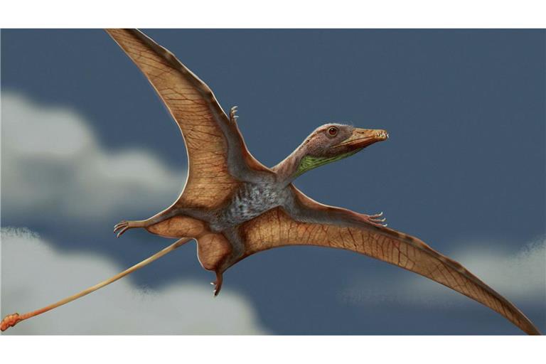 Flugsaurier waren vor mehr als 215 Millionen Jahren die ersten Lebewesen, die aktiv fliegen konnten, lange vor dem Auftreten der frühesten Vögel.