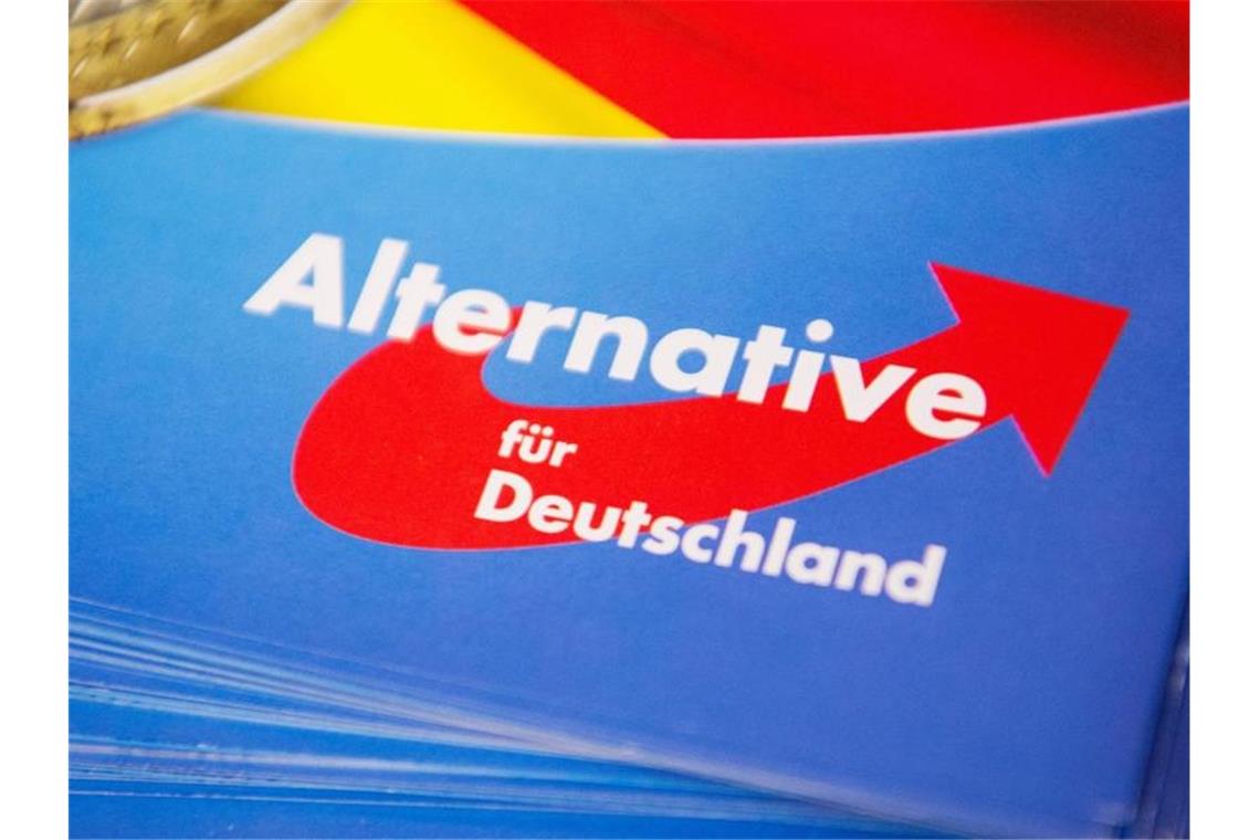 Künstlerkollektiv entsorgte AfD-Flyer