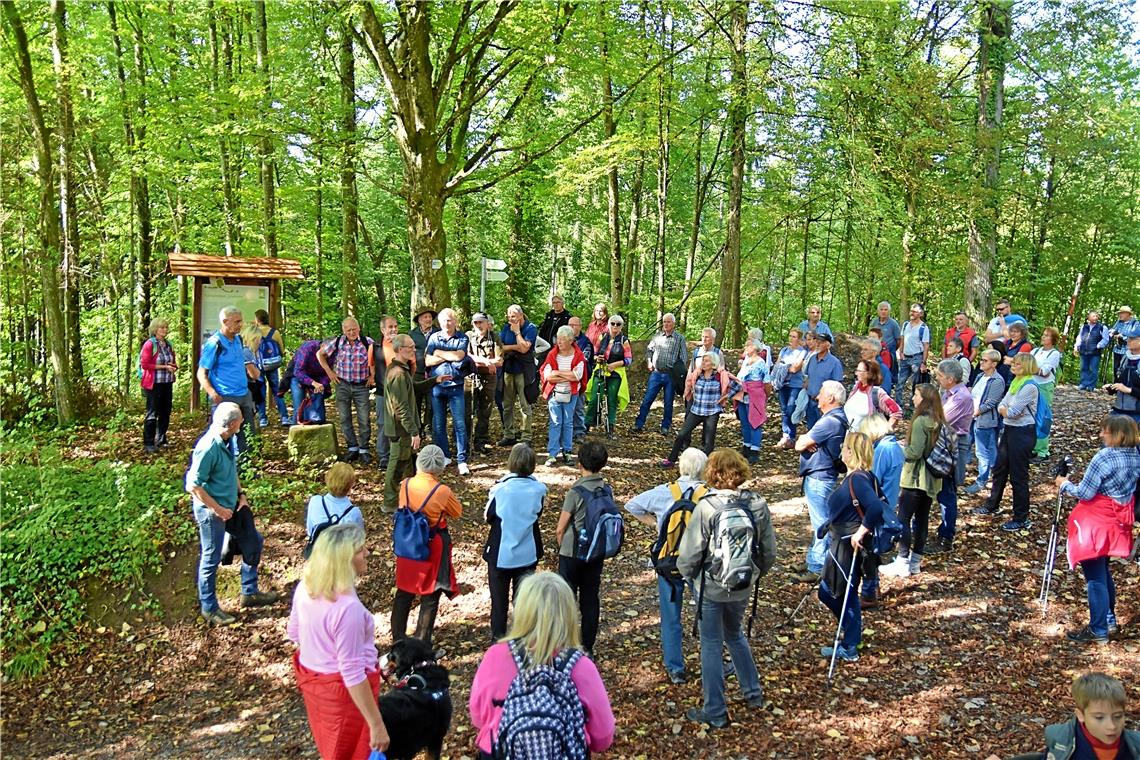 Wandertag in Sulzbach: Durch den Femelwald zu schönen Aussichten Förster Axel Kalmbach (grüne Kleidung, Mitte links) erzählt den Teilnehmern, was es mit den „Gruhsteinen“ auf sich hat. Fotos: Tobias Sellmaier