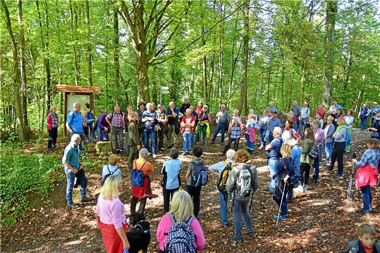 Förster Axel Kalmbach (grüne Kleidung, Mitte links) erzählt den Teilnehmern, was es mit den „Gruhsteinen“ auf sich hat. Fotos: Tobias Sellmaier