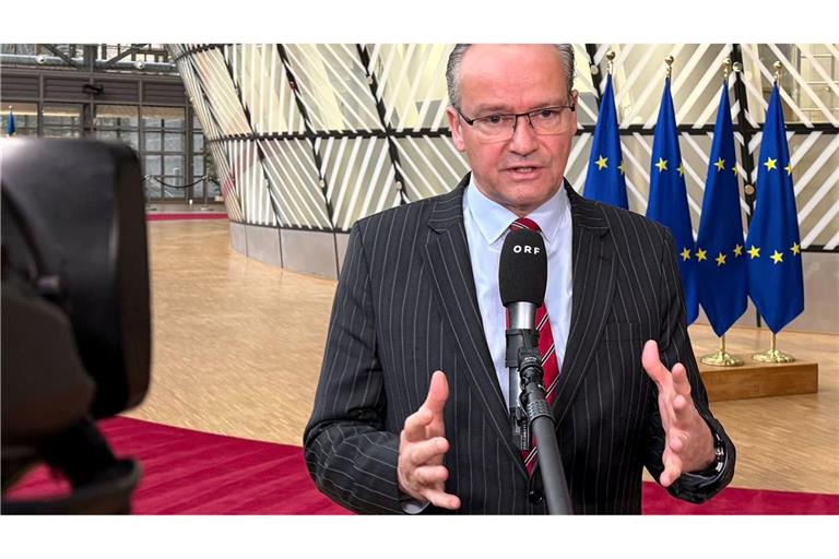 Fordert eingehende Aufklärung: Gunther Krichbaum, Staatsminister für Europa im Auswärtigen Amt. (Archivbild)