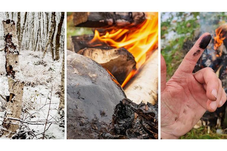 Forscher haben Birkenpech mit Methoden hergestellt, die schon Neandertaler nutzen, um dessen antibakterielles Potenzial zu analysieren.