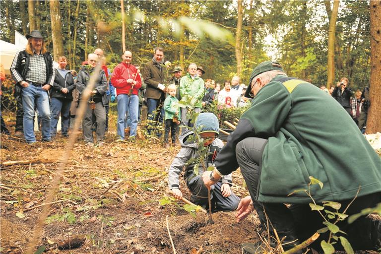Forstamtsmitarbeiter Ulrich Häußermann und der fünfjährige Lucas zeigen, wie man die Setzlinge einpflanzt. Foto: A. Becher