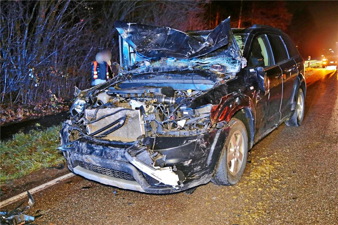 Drei Pferde bei Verkehrsunfall getötet Foto: 7aktuell / K. Lermer