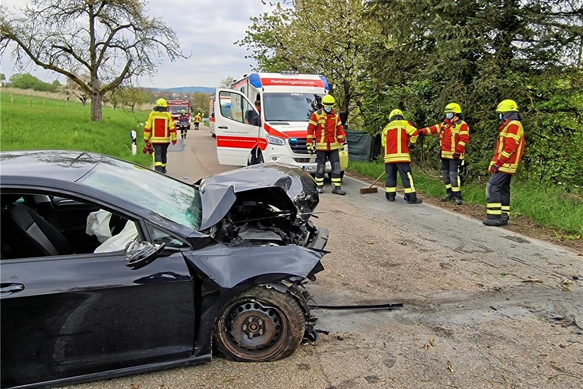 Auto kracht gegen Baum Foto: B. Beytekin
