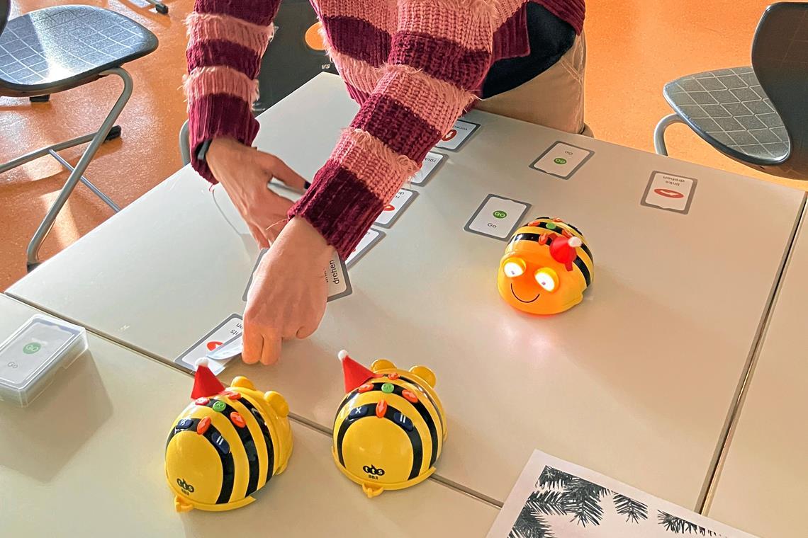 Foto: Simone Schneider-Seebeck