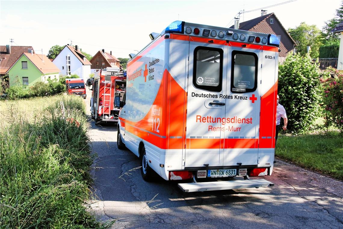 Mann stirbt bei Unfall in Althütte Fotos: 7aktuell.de/Kevin Lermer