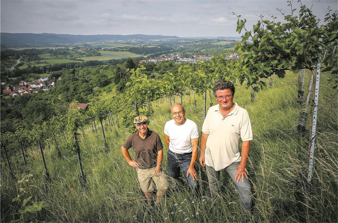 Die Weinbau-Pioniere vom Ebersberg Franz K. Matyas, Achim Keser und Friedrich Strohmaier (von links) in den Weinbergen über Däfern am Ebersberg mit Blick über die Backnanger Bucht. Am Sonntag stellen die Ebersberger Vinöre ihren Jahrgang 2017 vor. Foto: A. Becher