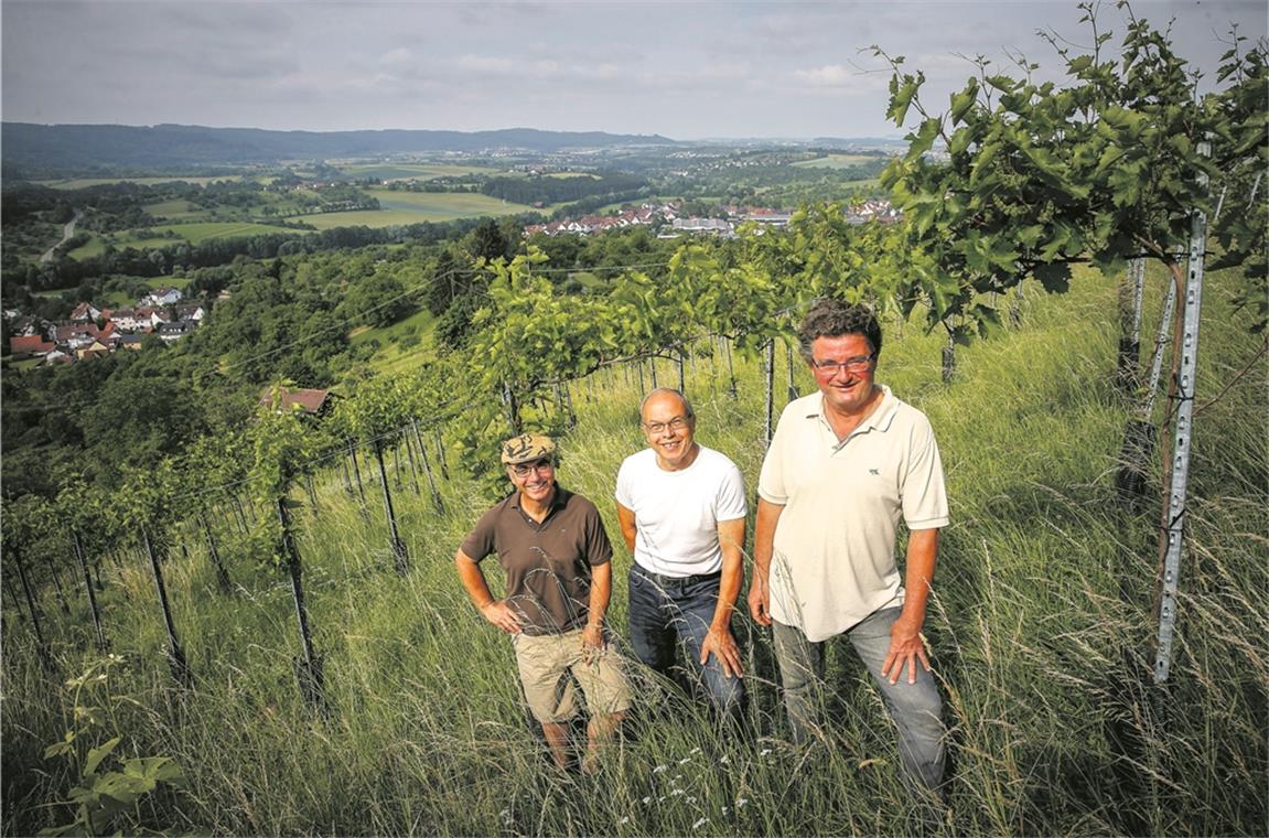 Franz K. Matyas, Achim Keser und Friedrich Strohmaier (von links) in den Weinbergen über Däfern am Ebersberg mit Blick über die Backnanger Bucht. Am Sonntag stellen die Ebersberger Vinöre ihren Jahrgang 2017 vor. Foto: A. Becher