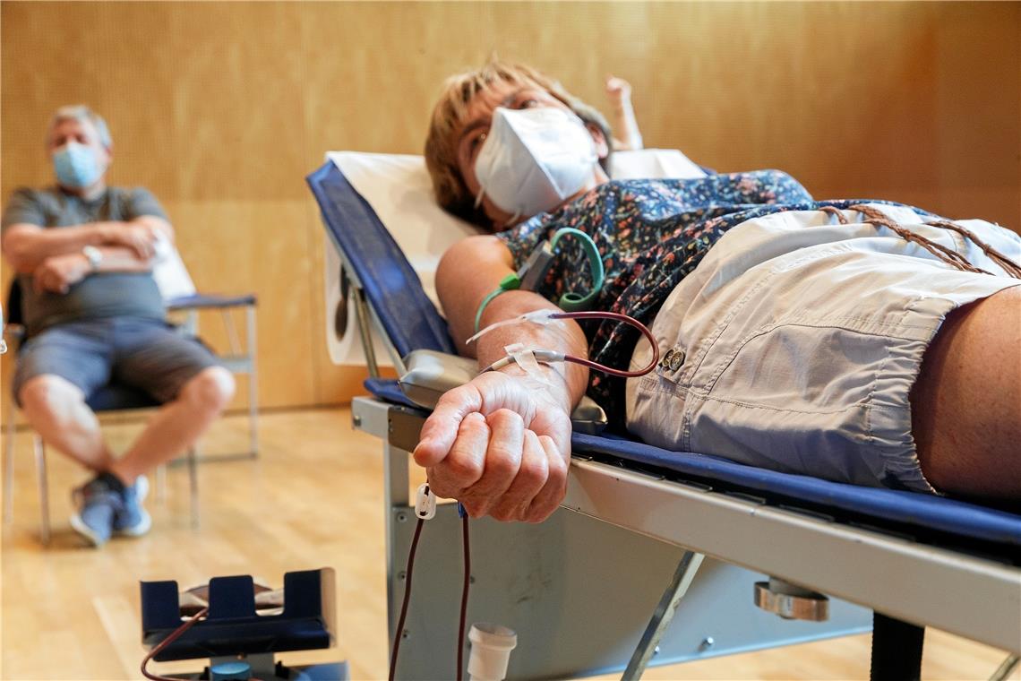 Meditationseinlage im Spendertreiben Frauen können maximal viermal im Jahr, Männer sechsmal spenden.