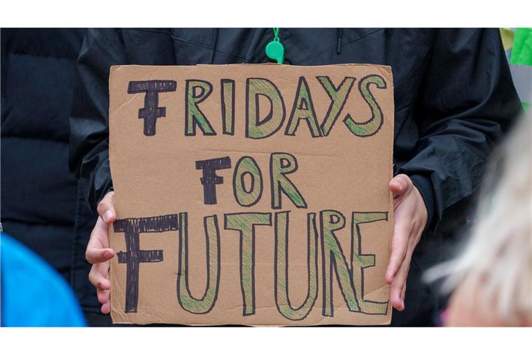 Fridays for Future hat für den 31. Mai Streiks angekündigt.