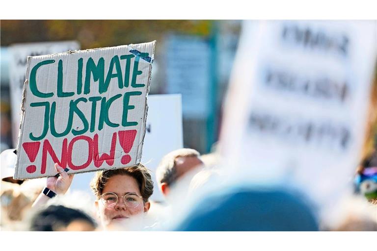 Fridays for Future kritisiert die Gaspläne der Regierung (Symbolbild).