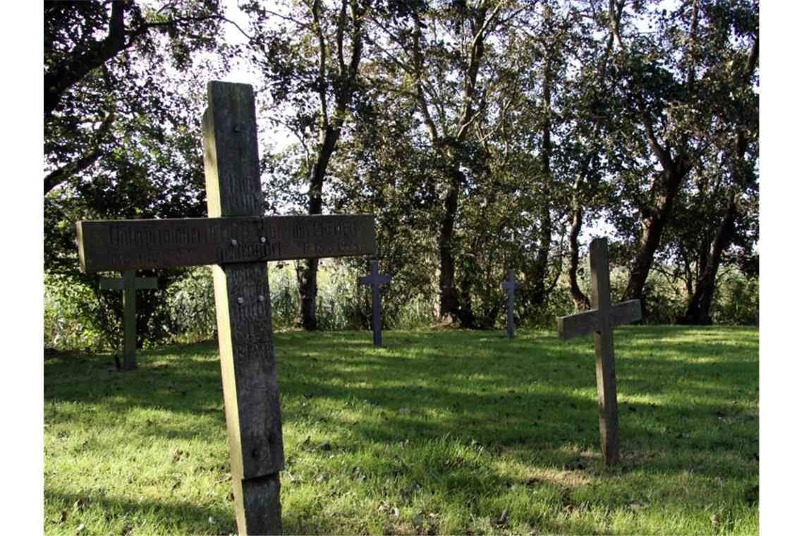 Grüne Klimaanlagen: Friedhöfe und ihr Öko-Effekt Friedhof. Foto: Larissa Loges/Archivbild
