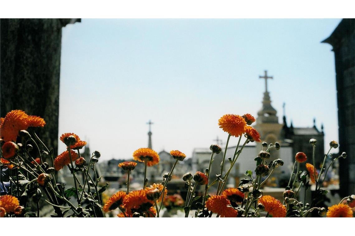 Friedhof in Portugal. Eine Bestattungsfirma in Portugal soll ein Tempovergehen einem Toten untergeschoben haben (Symbolfoto).