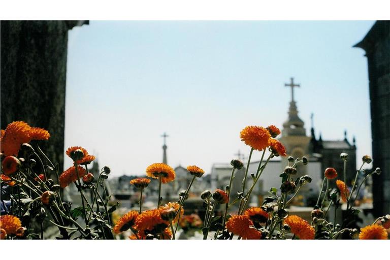 Friedhof in Portugal. Eine Bestattungsfirma in Portugal soll ein Tempovergehen einem Toten untergeschoben haben (Symbolfoto).