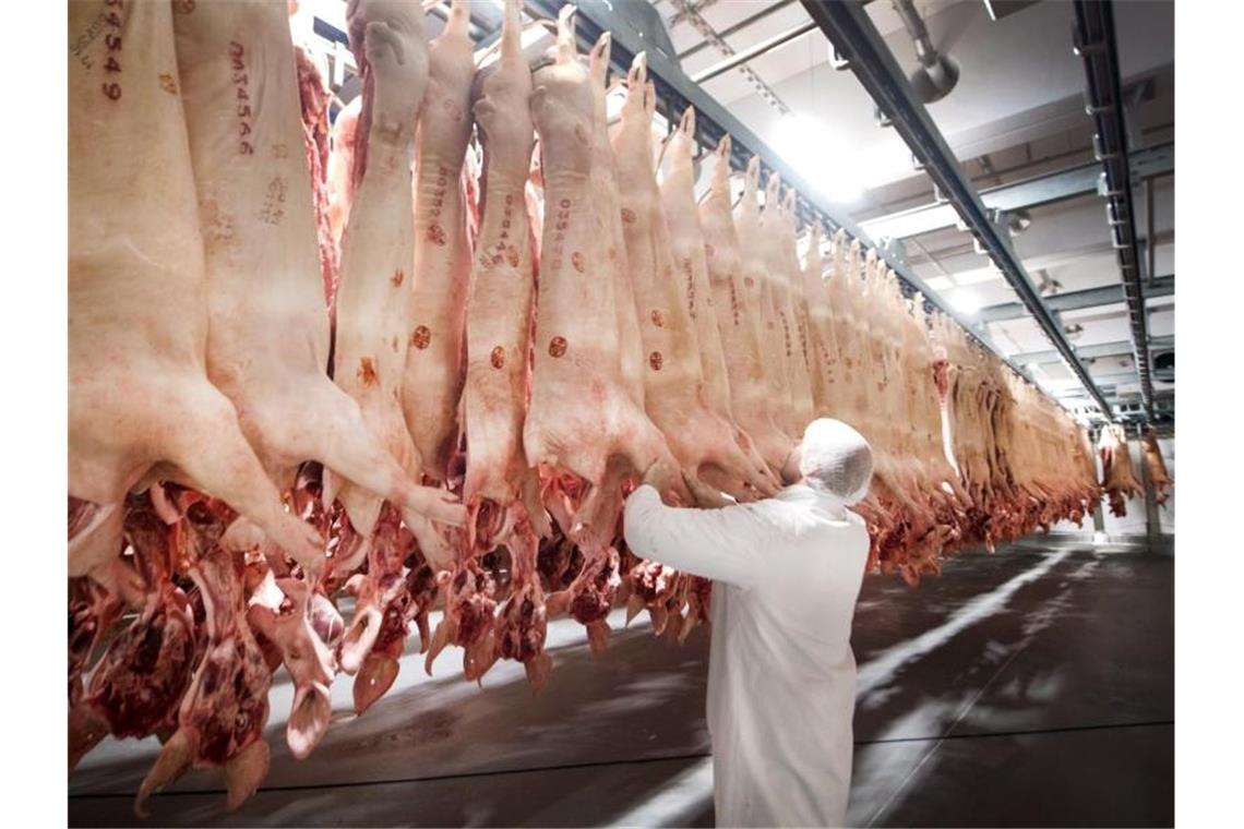 Frisch geschlachtete Schweine hängen in einem Kühlhaus des Fleischunternehmens Tönnies. Foto: Bernd Thissen/dpa