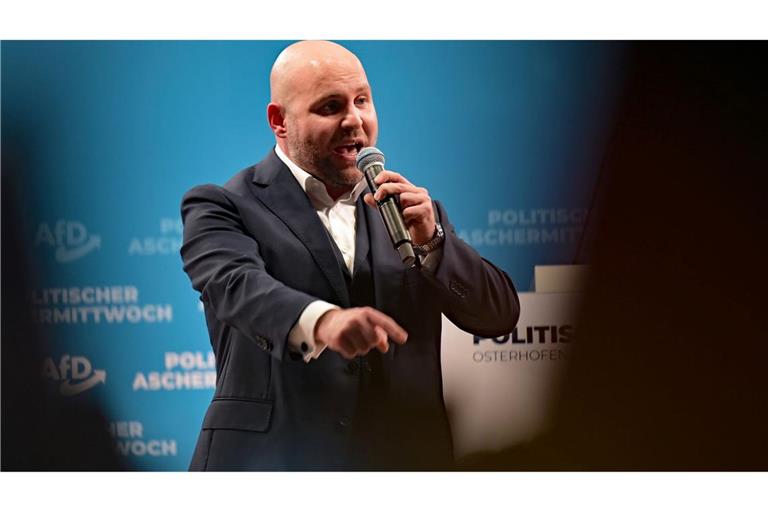 Frohnmaier tritt als Spitzenkandidat der AfD im Südwesten an.