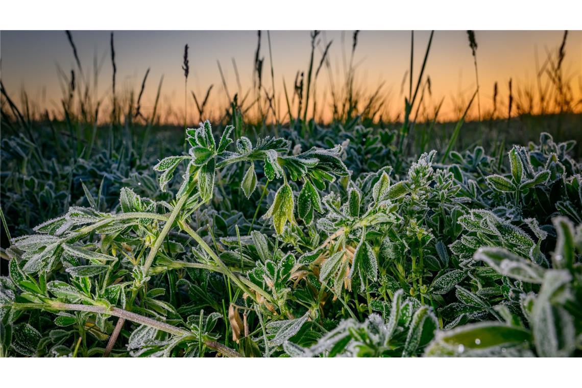 Frostige Nächte und kühles Wetter Frostiges Wetter in Brandenburg