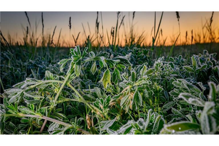Frostiges Wetter in Brandenburg