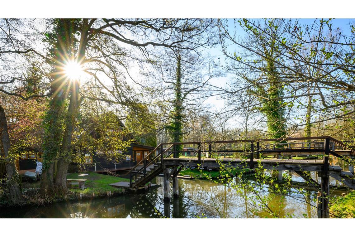 Bilder des Tages Frühlingssonne strahlt über dem Spreewald