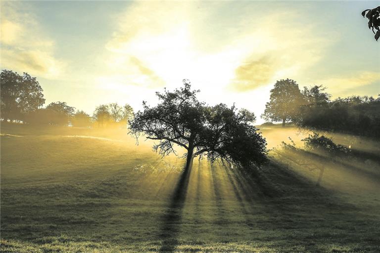 Frühnebel über Allmersbach am Weinberg. Foto: A. Becher/Grafik: Deutscher Wetterdienst