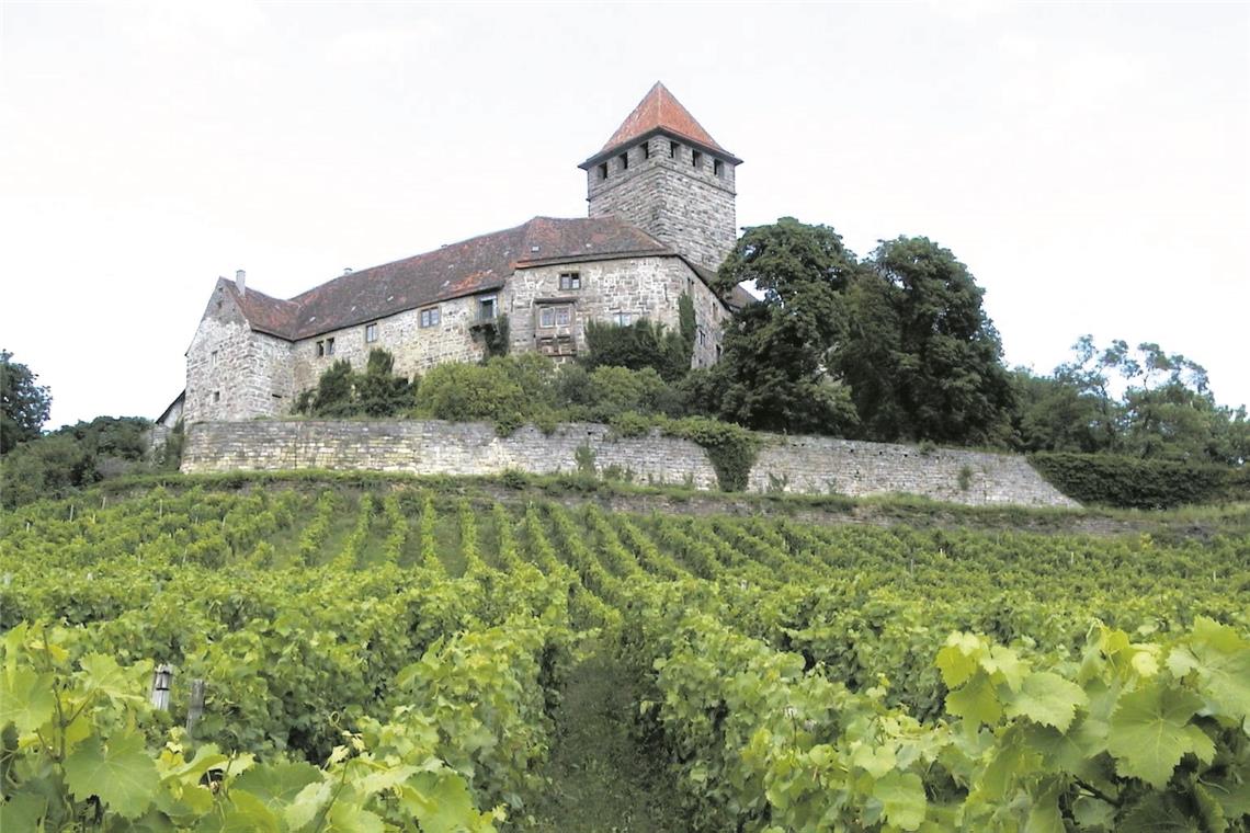 Oberstenfelder Burgherr will doch keine Stiftung Für den Moment bleibt auf der Burg Lichtenberg alles, wie es war. Archivfoto: privat