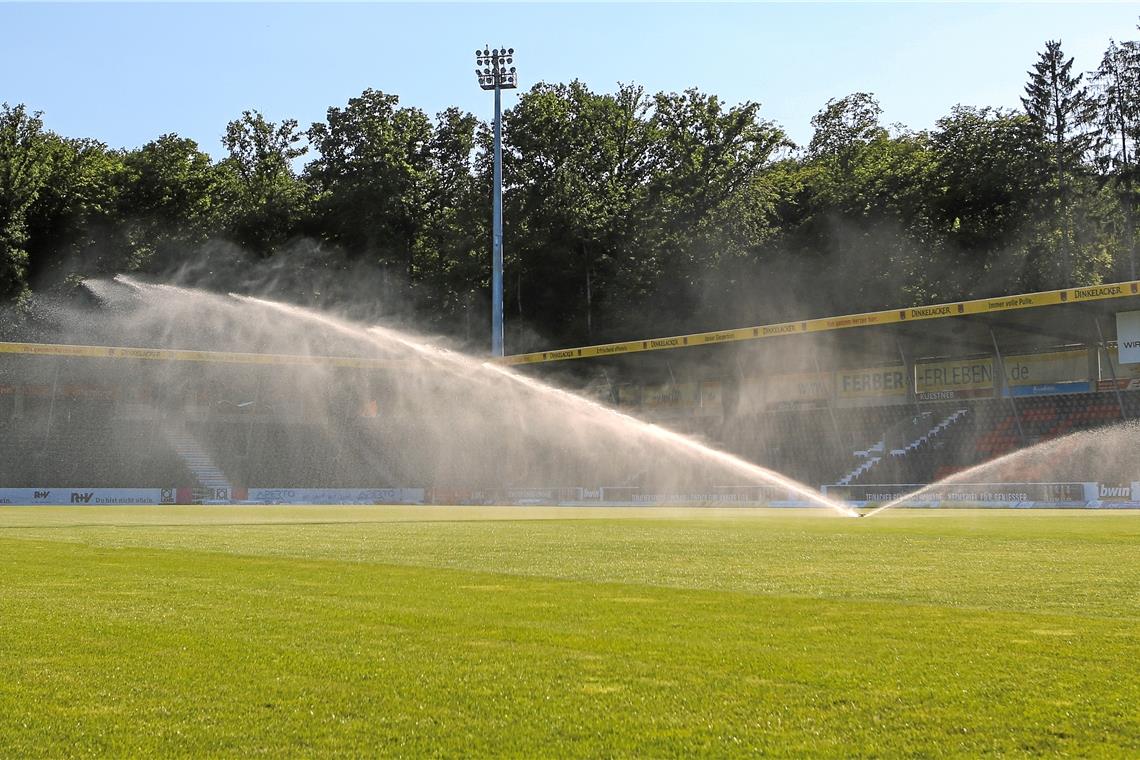 Für die Pflege ihrer Sportanlagen erhält die SG Sonnenhof Großaspach Fördermittel der Gemeinde – obwohl nur knapp 30 Prozent ihrer Mitglieder Aspacher sind. Archivfoto: A. Becher