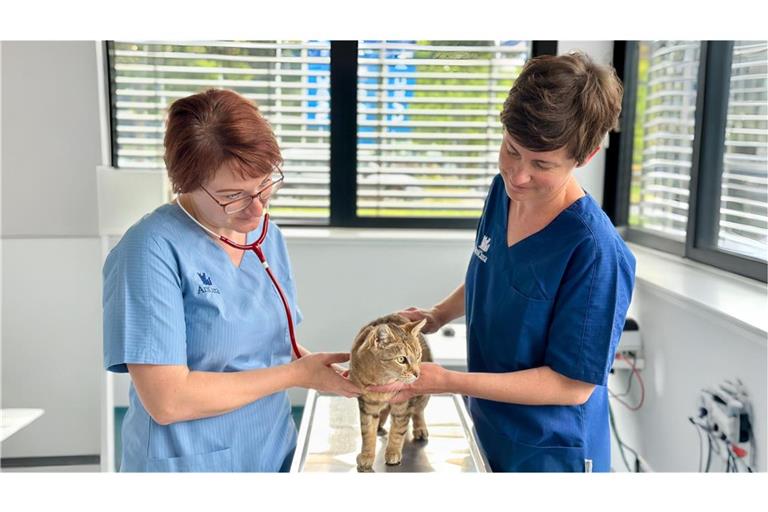 Für die Tierärztinnen Katharina Möhler und Helene Enns gehört der Umgang mit Anfeindungen in der Tierklinik Heilbronn inzwischen zum Alltag.