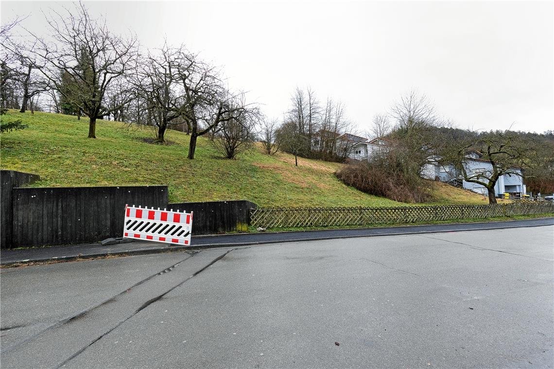 Für eine neue Wohnbebauung an der Straße „Im Reutle“ in Allmersbach im Tal liegen zwei Varianten vor, eine weitere wird erarbeitet. Foto: J. Fiedler