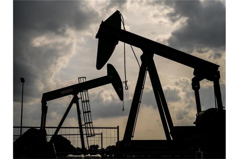 Für Energie mussten die Verbraucher im Mai besonders tief in die Tasche greifen. Foto: Mohssen Assanimoghaddam/dpa
