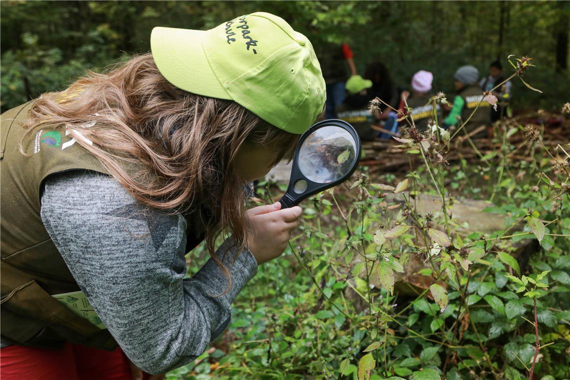 Für Groß und Klein gibt es einiges zu entdecken. Symbolfoto: Monika Sanwald