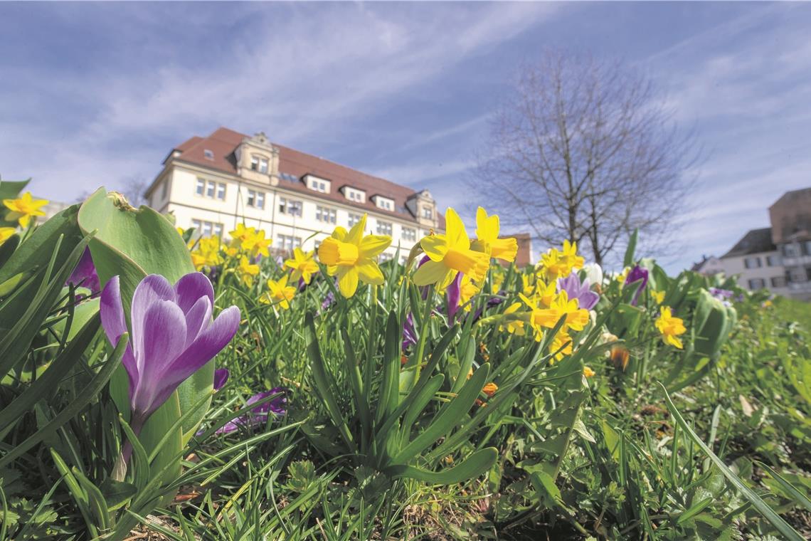 Naturnahe Gärten gesucht