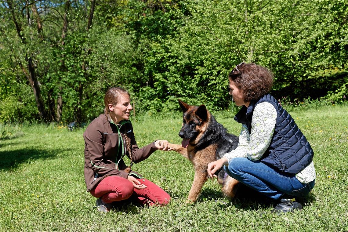 Für Hundetrainerin Kristin Strohmaier (links) ist es wichtig, die Vierbeiner, mit denen sie arbeitet, respektvoll zu behandeln. Karolin Kappler kommt mit Silver zu ihr ins Training, um den Hundeführerschein zu machen, den der Verband unabhängig von der Einführung schon anbietet. Foto: J. Fiedler