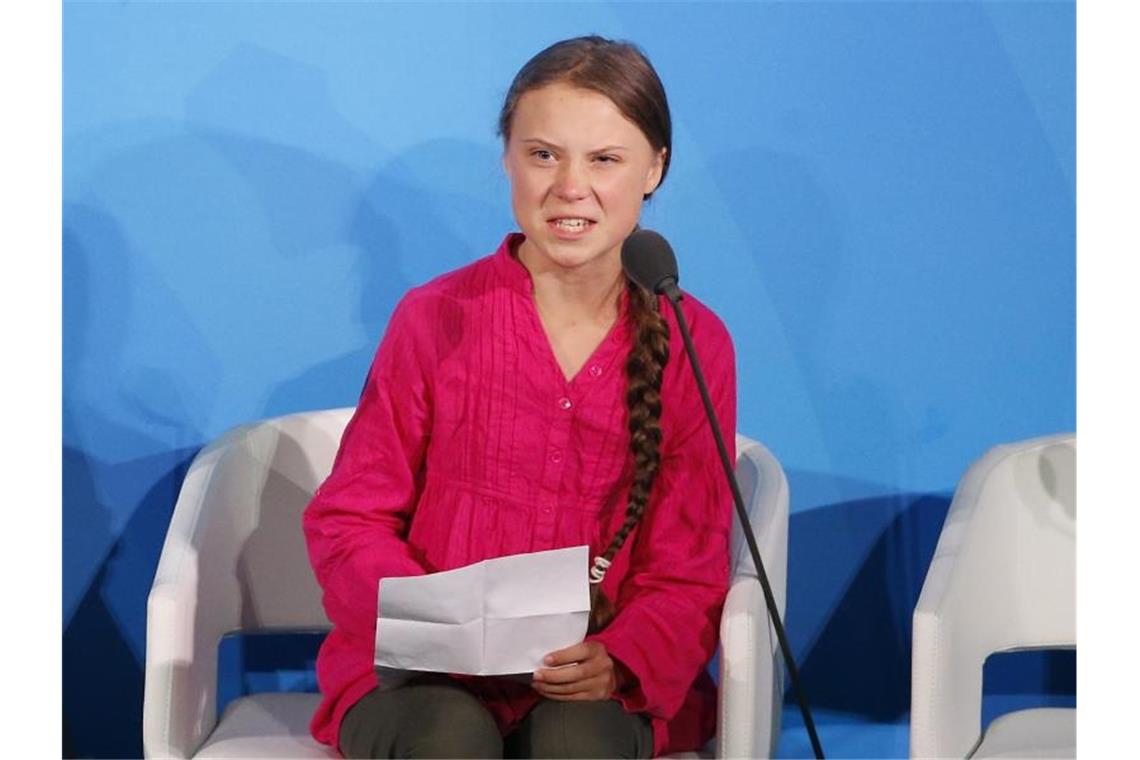 Für ihren Einsatz im Kampf gegen den Klimawandel ist Greta Thunberg mit dem Alternativen Nobelpreis ausgezeichnet worden. Foto: Jason Decrow/AP