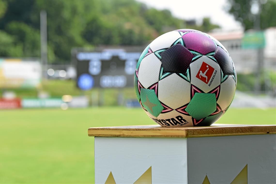 „Dachte immer, das sind faire Sportsleute“ Für sechs 14- und 15-Jährige, die vergangene Saison in der C-Jugend des FSV Waiblingen kickten, ruht der Ball zwangsweise bis 1. November. Der Klub aus dem Remstal hat die Jungs gesperrt, weil sie in die U16 nach Großaspach sowie Freiberg wechseln. Foto: T. Sellmaier