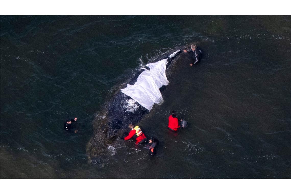 Für Wildtiere bedeute jede Annäherung Stress, betonen Experten.