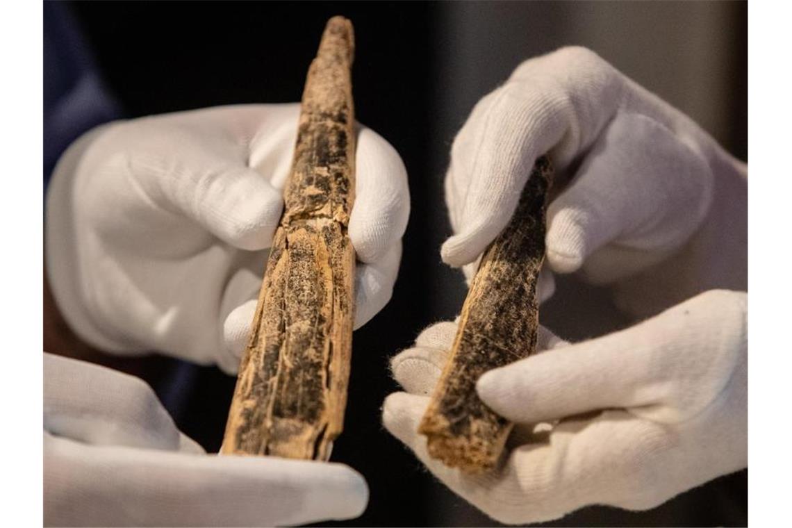 Funde aus Elfenbein, die in der Welterbe-Höhle „Hohle Fels“ entdeckt wurden. Foto: Christoph Schmidt/dpa