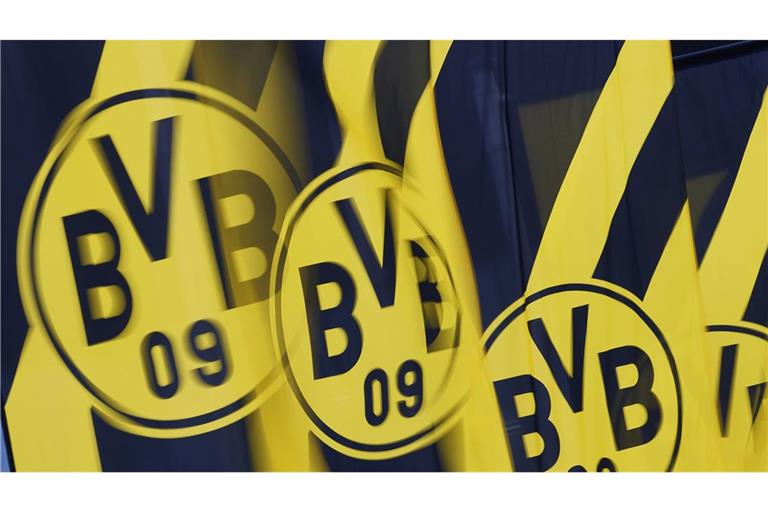 Fußball-Bundesligist Borussia Dortmund geht juristisch gegen einen Wahlwerbe-Aufkleber der örtlichen AfD vor (Symbolfoto).