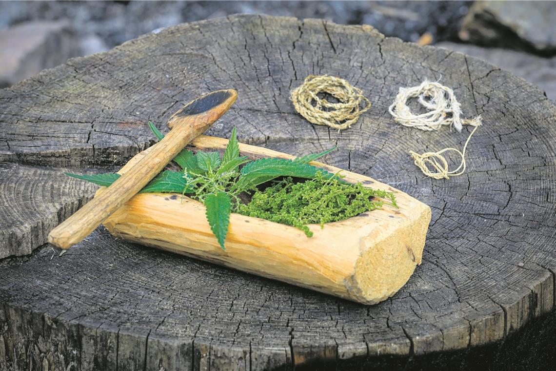 Gaben der Natur: Brennnesselblätter und -samen im Holzgefäß mit Löffel, mitgebracht hat Astrid Szelest Schnüre aus Brennnessel- und Weidenröschenfasern sowie eine Hirschsehne (von links).