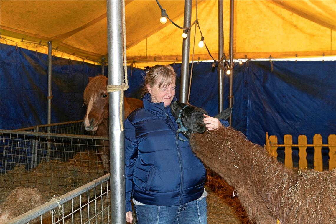 Gabriele Köllner mit ihrem Schmuse-Lama.
