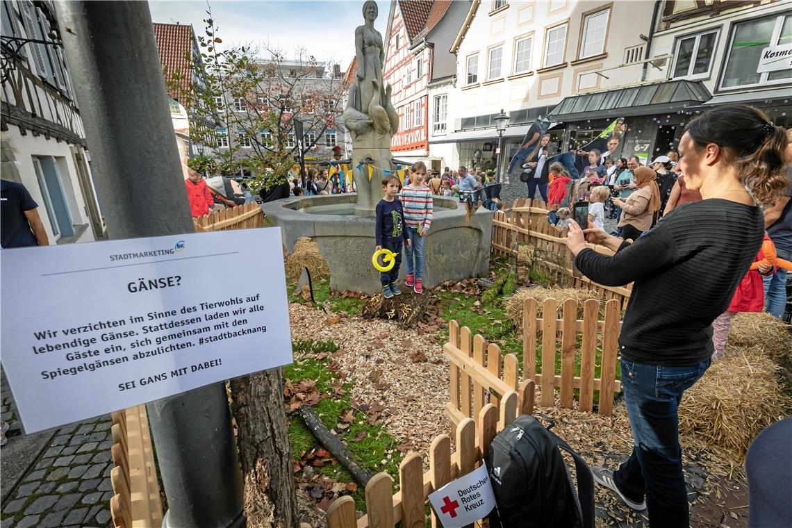 Gänsegatter ohne Federvieh, dafür aber mit einer Kunstinstallation, die von vielen als Fotomotiv genutzt wird. Fotos: Alexander Becher