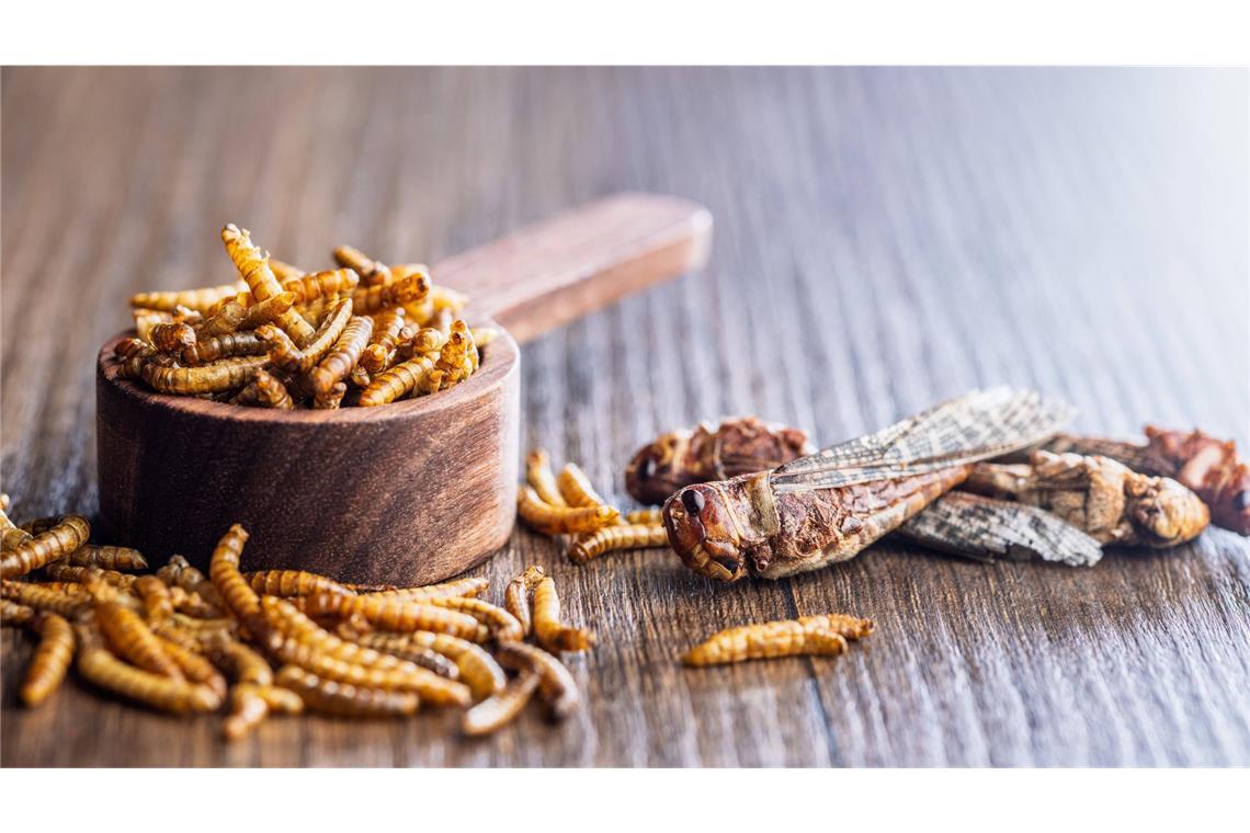 Gebratene Heuschrecken und Mehlwürmer gelten in manchen Ländern als leckere Snacks.