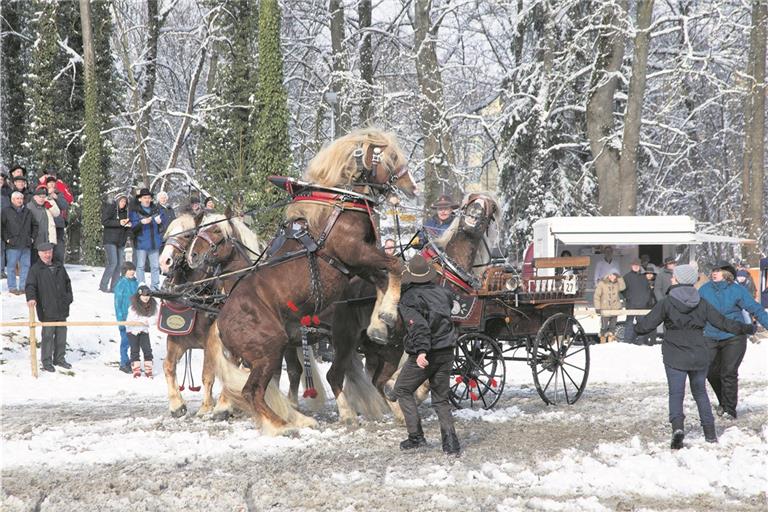 Gefährliche Situation mit Pferden: Nicht immer geht es so glimpflich ab wie hier beim Gaildorfer Pferdemarkt. Foto. J. Fiedler