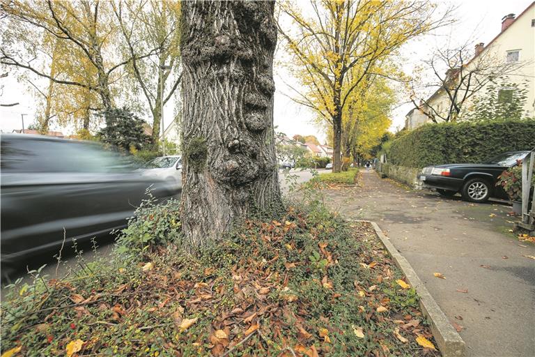 Backnanger Kreiszeitung