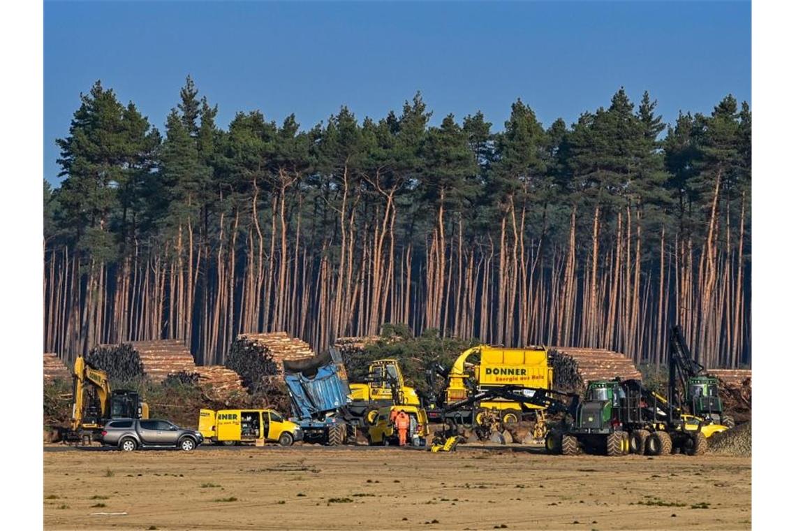 Tesla muss Abholzung von Wald vorläufig wieder stoppen Gefällte Bäume liegen auf der Baustelle der Tesla Gigafactory in Grünheide nahe Berlin. Foto: Patrick Pleul/dpa-Zentralbild/dpa