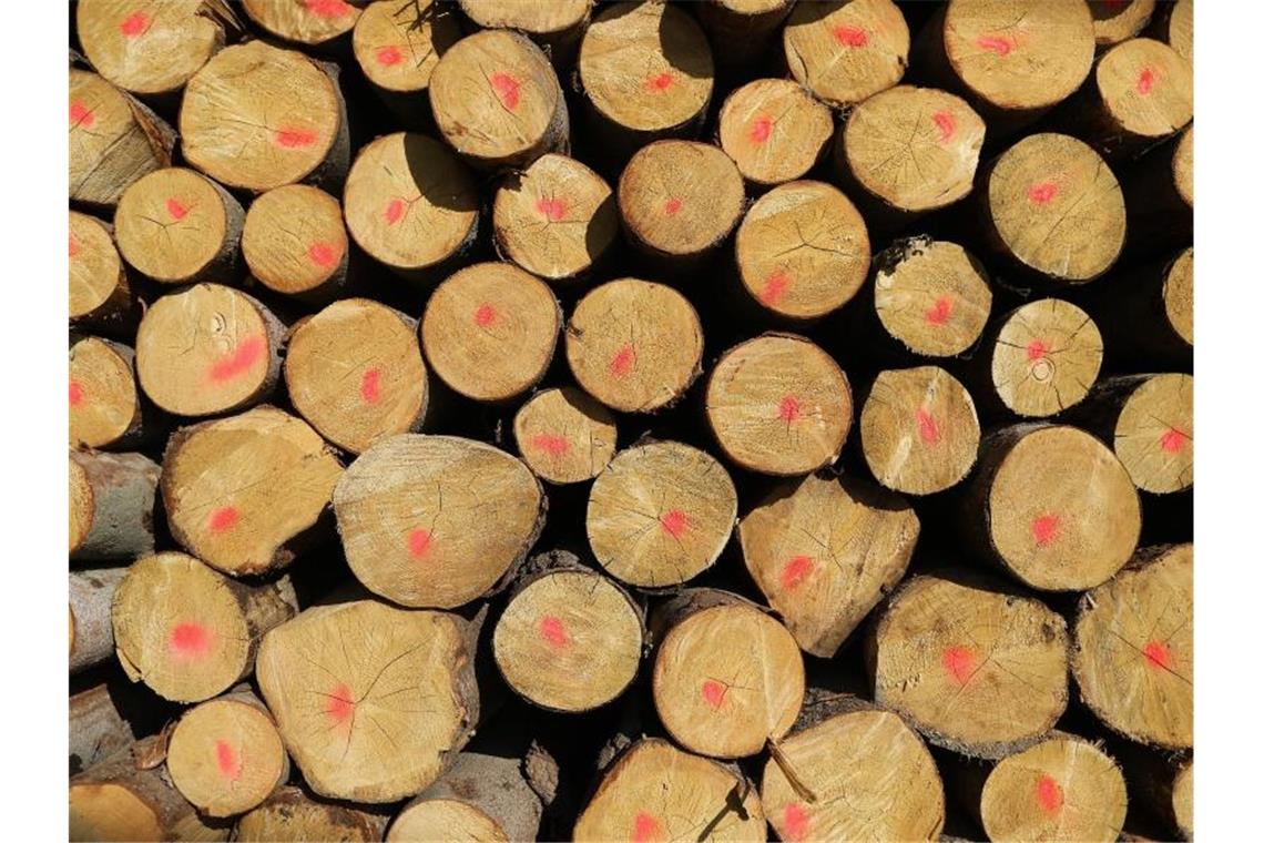 Gefällte Baumstämme liegen gestapelt am Waldrand. Bauelemente aus Holz sind momentan besonders gefragt. Foto: Oliver Berg/dpa