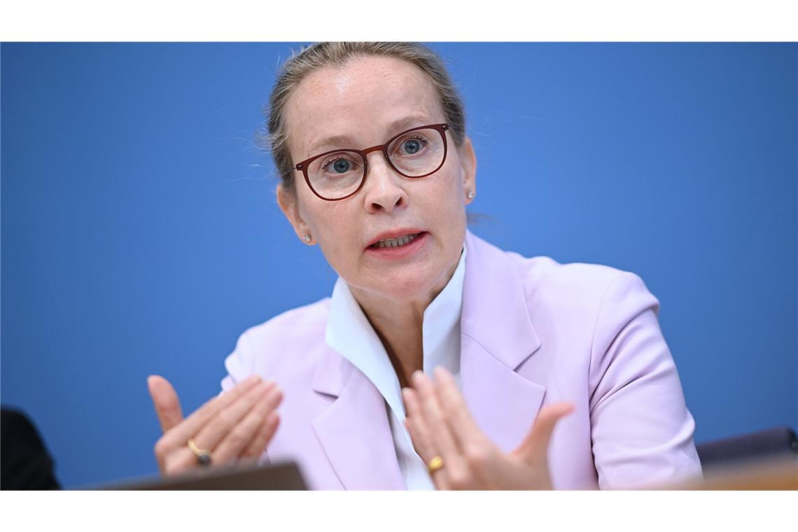 So tickt Frauke Brosius-Gersdorf Gegen Brosius-Gersdorf gibt es Vorbehalte.