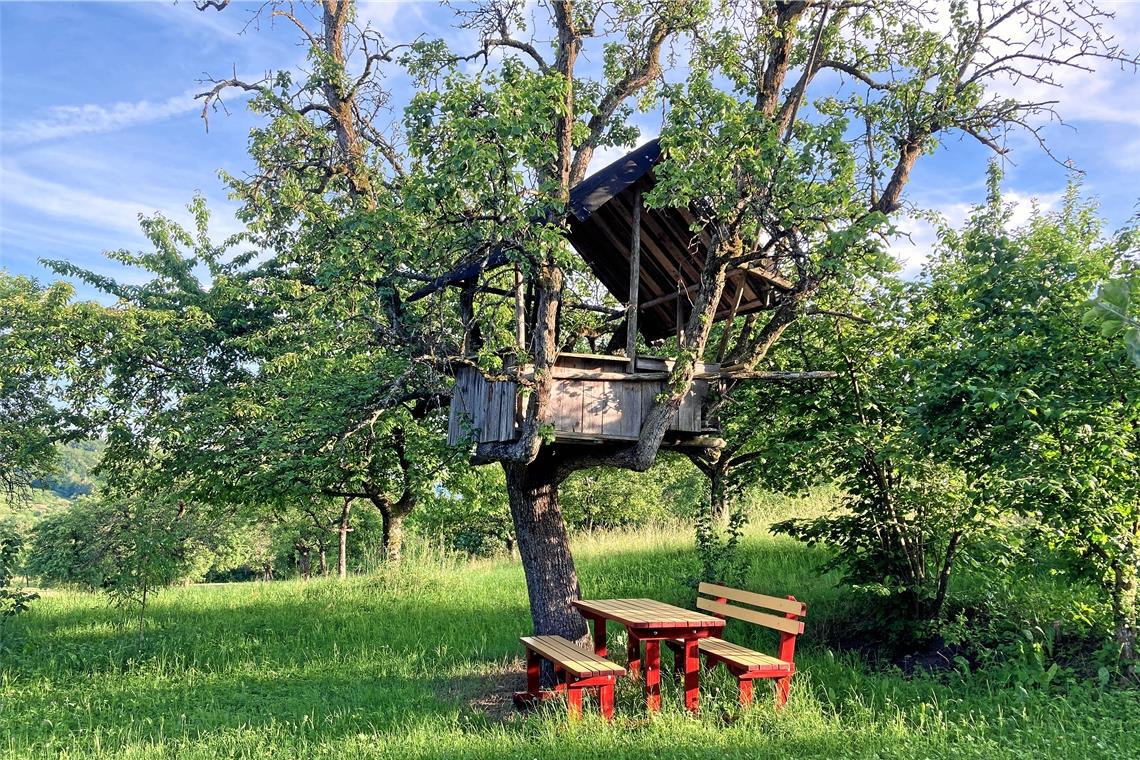 Spieldorado in luftigen Höhen Gehören seit 30 Jahren zusammen: Das Baumhäuschen und der Mostbirnbaum auf dem Wiesengrundstück von Familie Lauterwasser, oberhalb von Rietenau gelegen. Foto: N. Scharpf