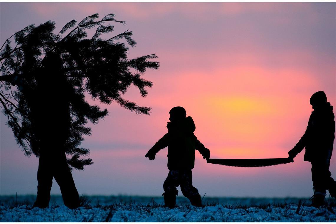 Gehört bald auch das traditionelle Schmücken des Weihnachtsbaums zu den vergessenen Ritualen?